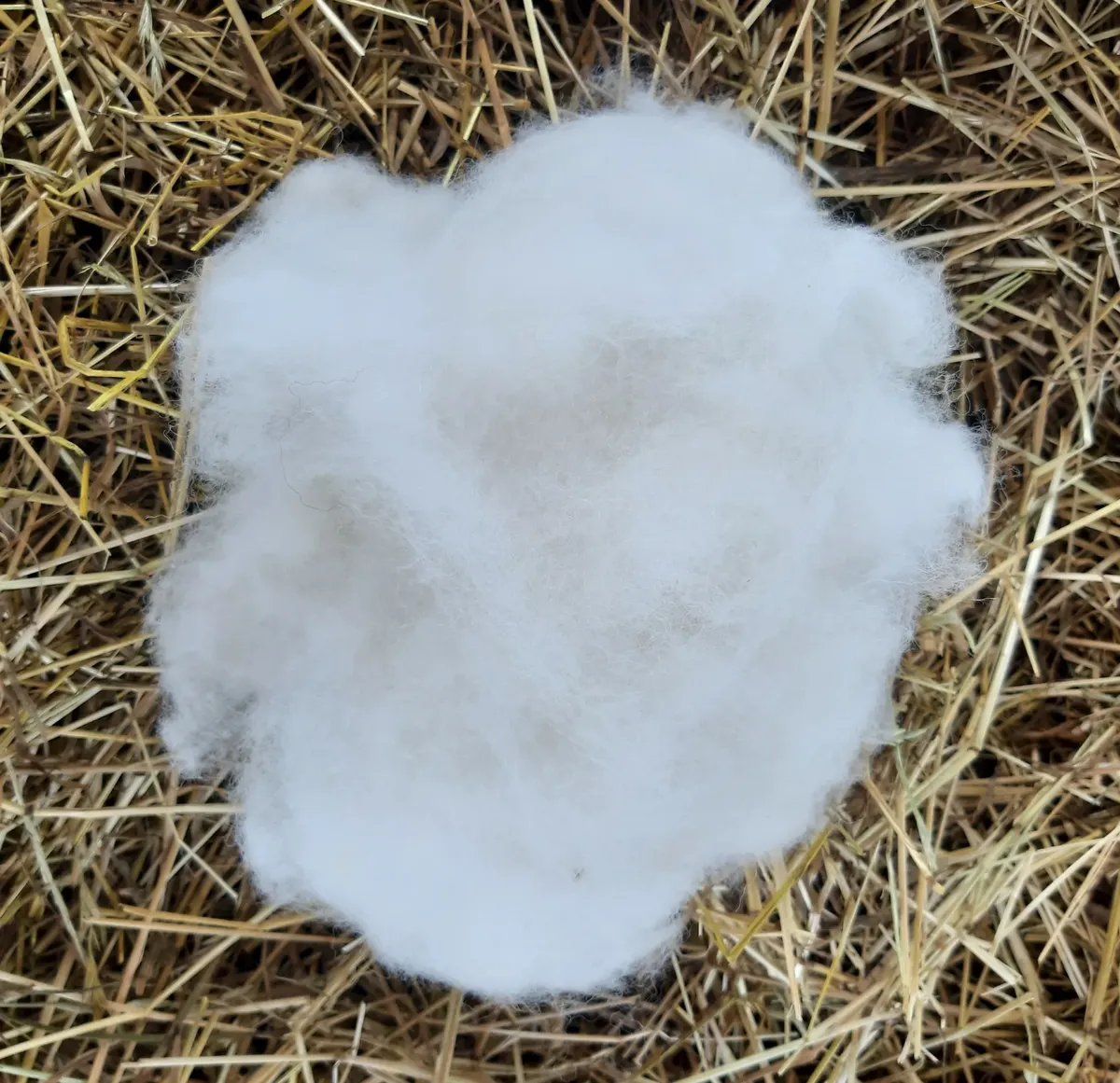 Wełna gręplowana