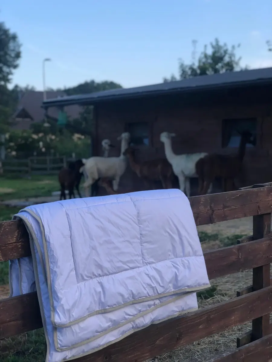 Přikrývka z alpačí vlny