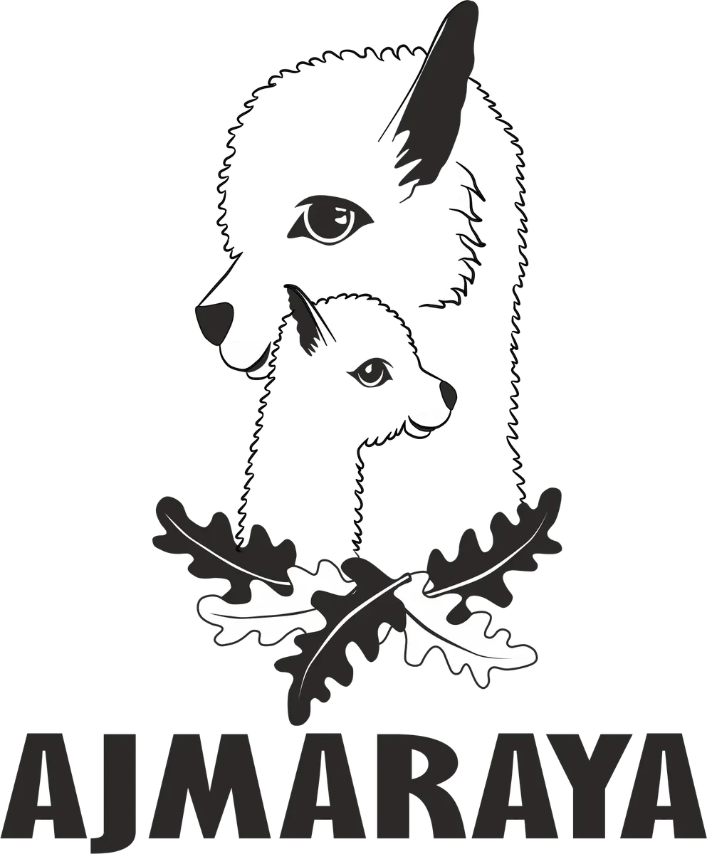 Hodowla Alpak Ajmaraya